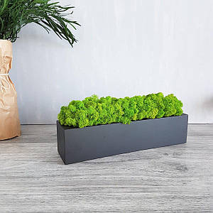 Прямокутне дерев'яне кашпо зі стабілізованим мохом матове чорне.Декор з дерева 30 см