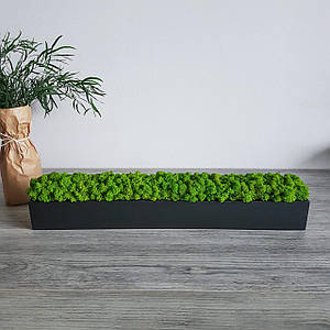 Прямокутне дерев'яне кашпо зі стабілізованим мохом матове чорне.Декор з дерева 90 см