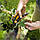 Секатор площинний Fiskars SmartFit P68 (111610), фото 2
