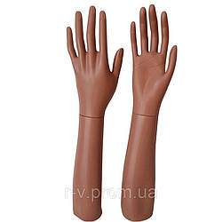Манекени жіночі тілесних рук до ліктя