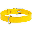 Нашийник шкіра 30-39 см 20 мм Гламур Collar для собак, фото 8