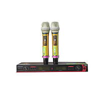 Микрофон DM UG-X10 II Shure радиосистема два профессиональных микрофон