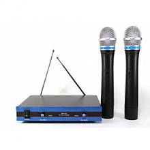 Радіосистема DM EW 100 2 мікрофони для караоке