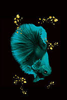 Картина Betta fish, 40х59.3 см, петушок полумесяц бирюзовый. Интерьерная картина рыбы петушки