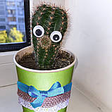 Кактус з оченятами - дитячий набір для вирощування кактуса, фото 8