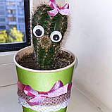 Кактус з оченятами - дитячий набір для вирощування кактуса, фото 9