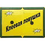 Клейова пастка-книжка для знищення гризунів (мишей, щурів) Seven Garden (16,5*24 см, малі), фото 3