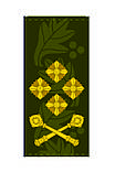 Погони ЗСУ -  Генерал-полковник (оліва, мм14), фото 3