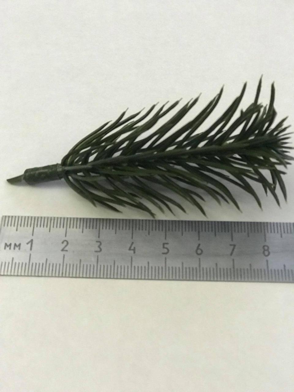 Гілочка ялини зелена 8см --50шт, фото 1