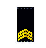 Погони  ВМСУ - Старшина 1 статті (OR-6), фото 3