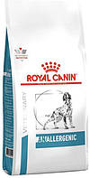 Лікувальний корм Royal Canin Anallergenic для собак Роял Канін Аналердженік 3 кг