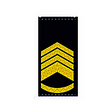 Погони  ВМСУ - Головний майстер-старшина (OR-9), фото 2