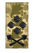 Погони ЗСУ - Генерал-полковник (оліва, мм14)