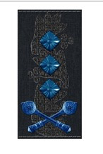 Погони ВМСУ - Віце-адмірал (OF-8)