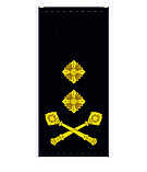 Погоні ВМСУ - Контр-адмірал (OF-7), фото 2