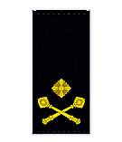 Погони ВМСУ - Коммодор (OF-6), фото 2