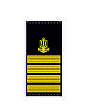 Погони ВМСУ - Капітан 1 рангу (OF-5), фото 2