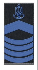 Погоні ВМСУ - Головний майстер-старшина (OR-9)