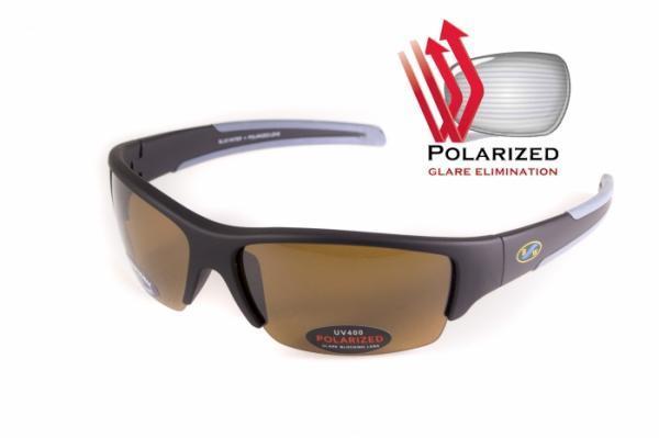 Поляризаційні окуляри BluWater DAYTONA-2 Polarized (brown) коричневі