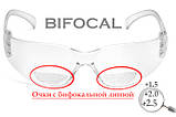 Біфокальні захисні окуляри Pyramex Intruder Bifocal (+1.5) (clear) прозорі, фото 3
