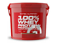 100% Whey Protein PROFESSIONAL Scitec Nutrition 5кг