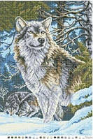 Схема на тканині для вишивки бісером Вовк у лісі ЧВ-5321 БісерОк