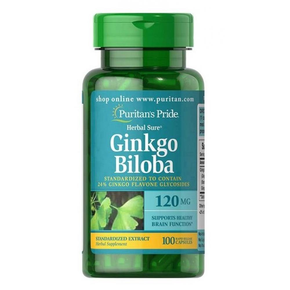 Puritans Pritde Ginkgo Biloba Standardized Extract 120mg 100caps, фото 1