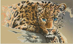 Схема на тканині для вишивки бісером Леопард ЧВ-7037 БісерОк