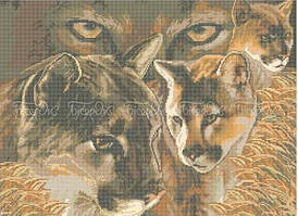 Схема на тканині для вишивки бісером Погляд пуми ЧВ-7041 БісерОк