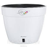 Santino asti 15 л, фото 2