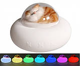 Дитячий силіконовий нічник Pet Spaceship Котик 3DTOYSLAMP, фото 4
