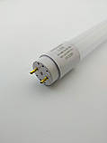Лампа світлодіодна LED-T8-600-6400-G13 Eco, фото 3