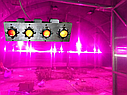 Фітолампа для рослин 200 W, Full spectrum 400-840nm (380 нм, 445 нм, 4660 нм, 610 нм, 630 нм) з лінзою 60 градусів, фото 10
