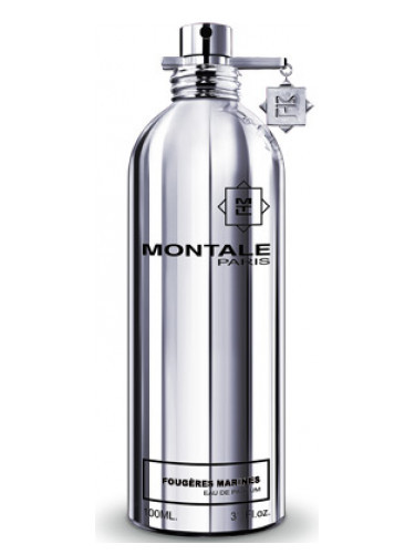 Парфумована вода Montale Fougeres Marines для чоловіків і жінок - edp 100 ml tester