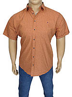 Хлопковая мужская рубашка в большом размере Barcotti 0163-29 BK