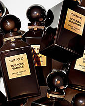 Tom Ford Amber Absolute парфумована вода 100 ml. (Том Форд Амбер Абсолют), фото 6