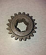 Шестерня ведена передньої/задньої передачі гальмівна Z=20 КПП мотоблоку 81-1 Кентавр, фото 3