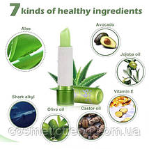 Зволожувальний бальзам для губ з алое вера Aloe Vera 99% Soothing Gel Lipstick 3,5 гр, фото 5