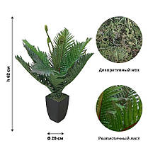 Штучна Пальма декоративна рослина чорний квадратний горщик висота 62 см, фото 2