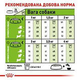 Royal Canin X Small Роял Канін х смол для собак дрібних порід до 4 кг., 1,5 кг, фото 3