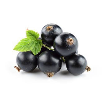 Масло чорної смородини`(Black Currant Oi)