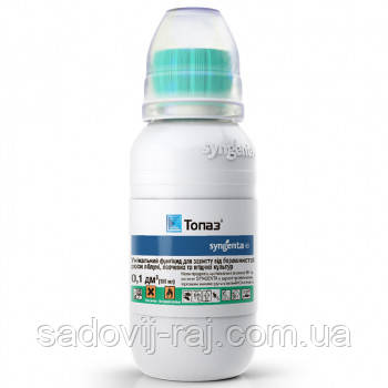 Кім туыстарымен жыныстық қатынасқа түсті? Жасырын оргазм порно видео