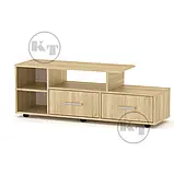 Тумба ТВ Вінниця новинка (Компаніт) 1200х352х430 мм, фото 5