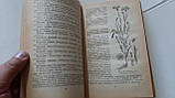 Лікарські рослини в народній медицині О.Попов, фото 5