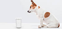 Чаша для очистки лап домашних животных PETKIT Pet (PE004)