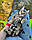 Хлопчик бенгал, (Жовтогарячий нашийник) ін. 04.06.2021. Бенгальські кошенята з вихованця Royal Cats. Україна, Київ, фото 9