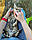 Хлопчик бенгал, (Жовтогарячий нашийник) ін. 04.06.2021. Бенгальські кошенята з вихованця Royal Cats. Україна, Київ, фото 5