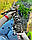 Хлопчик бенгал, (Чорний нашийник) ін. 20.06.2021. Бенгальські кошенята з вихованця Royal Cats. Україна, Київ, фото 5