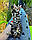 Хлопчик бенгал, (Чорний нашийник) ін. 20.06.2021. Бенгальські кошенята з вихованця Royal Cats. Україна, Київ, фото 7