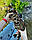 Хлопчик бенгал, (Сірий нашийник) ін. 20.06.2021. Бенгальські кошенята з вихованця Royal Cats. Україна, Київ, фото 3